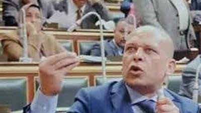 برلمانى يشيد بدعم مصر للسودان لمواجهة مخاطر السيول والفياضانات