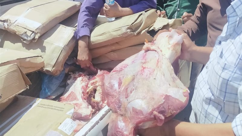 بوابة الجمهورية