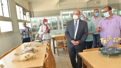 رئيس جامعة أسيوط يتفقد متحف كلية الطب البيطري ويشيد بدورها الحيوي