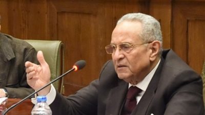 أبو شقة: القوى الوطنية في مصر على قلب رجل واحد