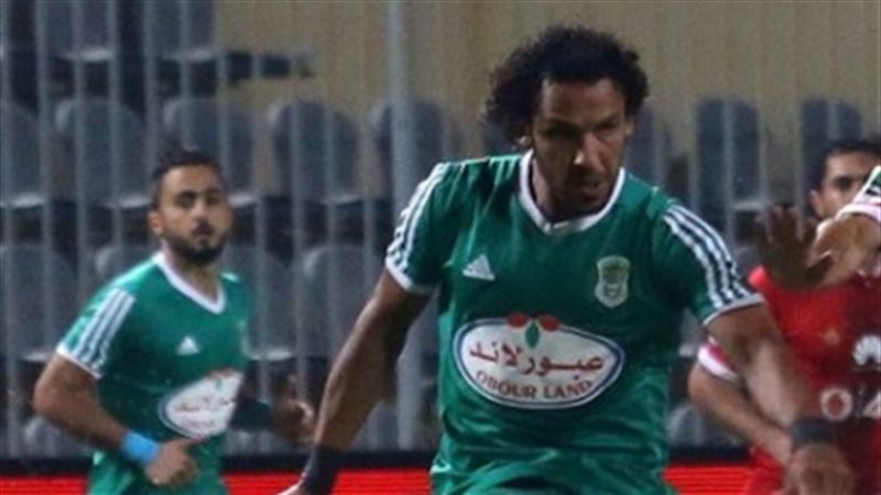 نور السيد