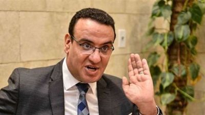 صلاح حسب الله : حديث الخارجية التركية عن ثورة 30 يونيو مرفوض من كل المصريين