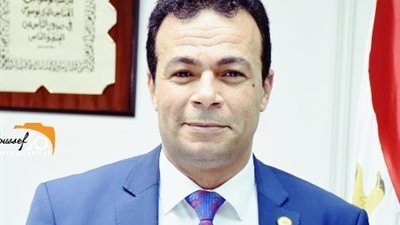 النائب اشرف رحيم: مصر مازالت مستهدفة داخليا وخارجيا لضرب استقرارها