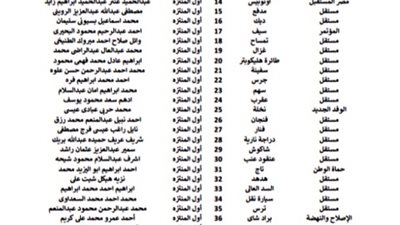 البطش أول مرشح لحزب النور بالإسكندرية