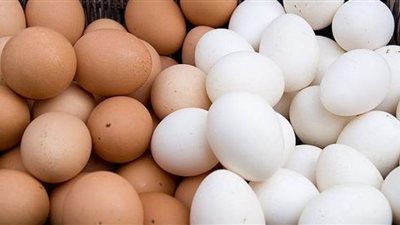 سعر كرتونة البيض اليوم الجمعة 25 سبتمبر 2020