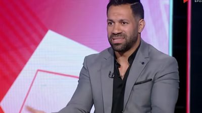 حسنى عبد ربه: لا أحب 
