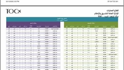 113 رحلة تنقل اكثر من 24 ألف راكب منهم 45 رحلة لمصر للطيران