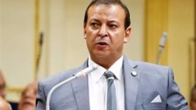 برلمانى : مشروعات البنية التحتية افضل وسيلة لجذب الاستثمار الأجنبى لمصر