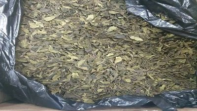 اليقظة والاحترافية.. سلاح الجمارك لضبط أغرب طرق تهريب المخدرات