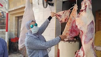 ضبط لحوم فاسدة وذبح خارج السلخانة فى حملة تموينية بالدقهلية