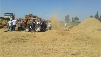 الزراعة: جمع وتدوير أكثر من 1.1 مليون طن قش الأرز وتنظيم 844 ندوة ارشادية