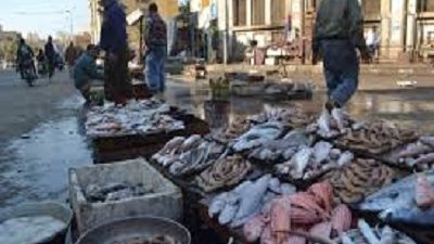تطوير سوق السمك بأبى قير