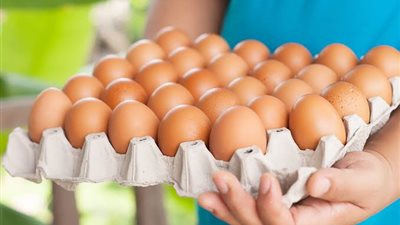 أسعار كرتونة البيض في مصر اليوم الثلاثاء 6 أكتوبر 2020
