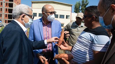 رئيس جامعة طنطا يتفقد استعدادات الكليات للعام الدراسي الجديد بمجمع سبرباي