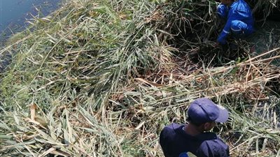 مياه قنا: إزالة الحشائش بمرشح محطة العرب والنجاجرة بالوقف