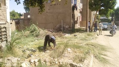 حملات نظافة وتجميل بأرمنت جنوب غرب الأقصر