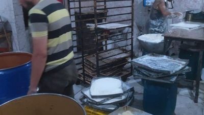 حلاوة المولد فاسدة بسيدى سالم.. بالصور