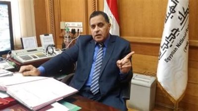 رئيس هيئة السكك الحديدية: تشكيل لجنة لمعاينة حادث قطار 