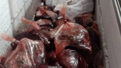 ضبط 163 طن لحوم ودواجن واسماك غير صالحة و218 مركزا مخالفا