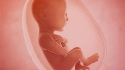 ما حكم اختيار نوع الجنين في عمليات الحقن المجهري.. الافتاء تجيب