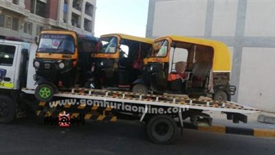 ضبط 291 فى حملة موسعة