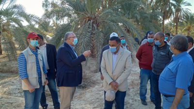 وزير الزراعة ومحافظ مطروح يفتتحان المبنى الإداري لمحطة بحوث سيوه