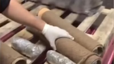 عصابات ومجرمون يبتكرون طرق غريبة لإخفاء مخدر الماريجوانا