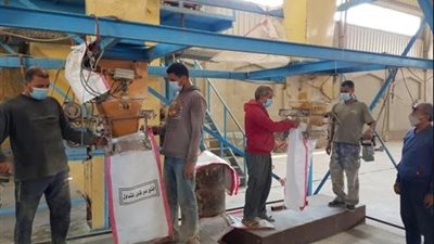 الزراعة: اصدار 363 رخصة تشغيل مزرعة دواجن ومواشي