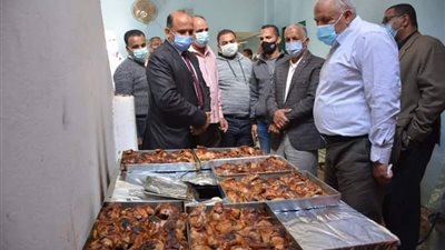 محافظ الوادى الجديد يشيد بمبادرة 