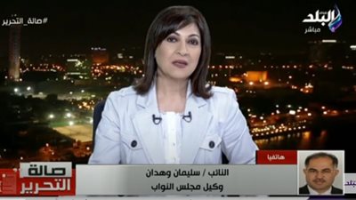 سليمان وهدان: البرلمان يمثل الشباب.. والوفد حزب معارض.. فيديو