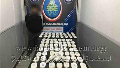 ضبط ٩٠ طربة حشيش بالقنطرة غرب