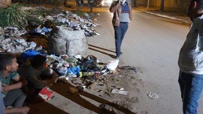 رئيس حى البساتين يضبط كارو تلقى القمامة أمام المركز الإوليمبى للالعاب.. بالصور