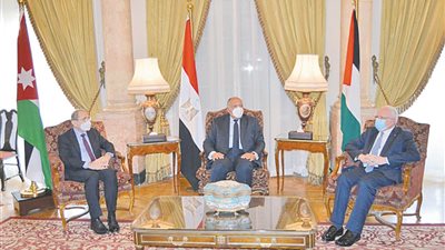 شكري: كسر حالة الجمود في مسار عملية السلام