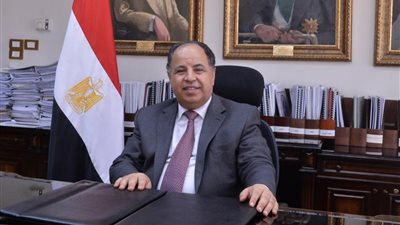 وزير المالية: ربط الموانئ بمنصة إلكترونية.. يُخَّفض زمن الإفراج الجمركى وأسعار السلع
