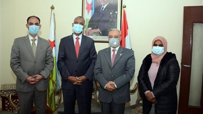د. ذكى : مصر استعادت دورها الريادى بإفريقيا فى عهد السيسى