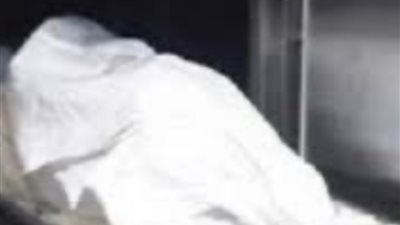 مصرع سائق علي يد جارة بسبب حفرة بين منزلهما في الدقهلية