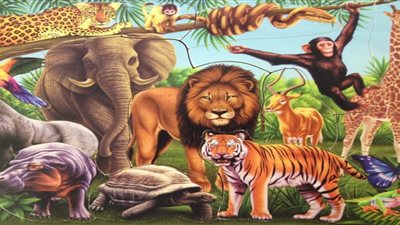 عددها بالمئات.. حيوانات ونباتات 