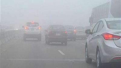طقس الجمعة.. مائل للدفء نهارا وبارد ليلاً وشبورة كثيفة
