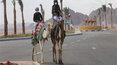 جنوب سيناء تحتفل بالذكرى الأولى لإفتتاح مضمار الهجن الدولى بمدينة شرم الشيخ