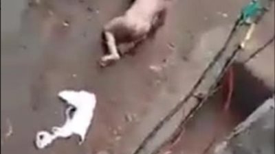 القبض علي الأب الذي جرد ابنته الرضيعة من ملابسها والجدة تكشف تفاصيل الحادث