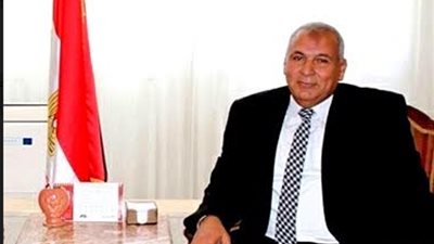 الوزراء يعتمد المخطط الإستراتيجي العام لمدينتي الخارجة والفرافرة بالوادى الجديد