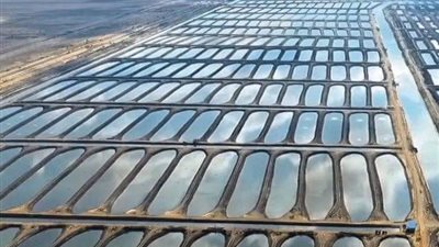 قبل افتتاحه من الرئيس.. أبرز 10 معلومات عن مشروع الفيروز للاستزراع السمكي