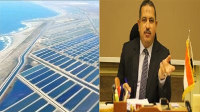 الأكبر من نوعه في الشرق الأوسط.. الجدوى الاقتصادية لمشروع الفيروز للاستزراع السمكي