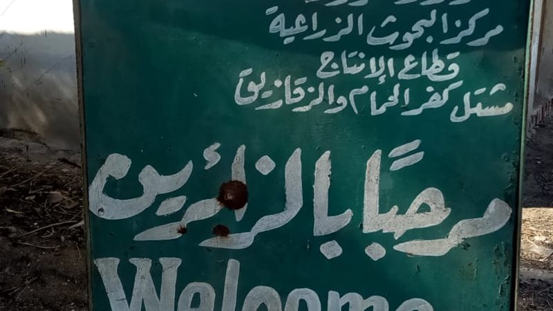 بوابة الجمهورية