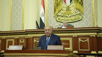 وزير الخارجية: علينا مسئولية مضاعفة للدفاع عن مصالح مصر العليا