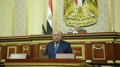 وزير الخارجية: مصر قدمت 4 ملايين دولار لصندوق افريقيا فى جائحة كورونا