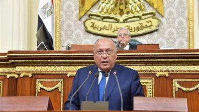 وزير الخارجية يشيد بجهود القوات المسلحة في إزالة الغام الحرب العالمية الاولى من الصحراء الغربية