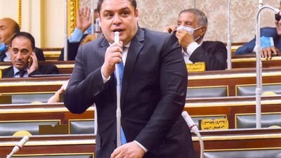 العمده نرفض أي تدخل خارجى في الشأن الداخلى المصرى