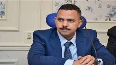 زعيم الاغلبية بالبرلمان : التدخل في شئوننا الداخلية مرفوض