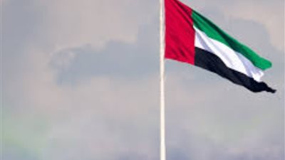 تعرف على التعديلات القانونية التي أقرتها الإمارات لمنح الجنسية